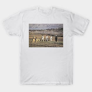 Postcard of the Moroccan Countryside T-Shirt